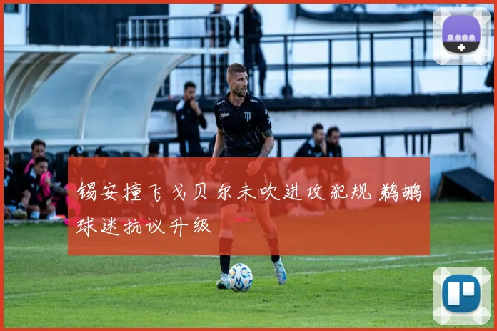 锡安撞飞戈贝尔未吹进攻犯规 鹈鹕球迷抗议升级